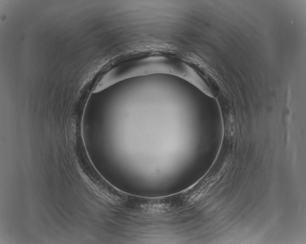 X0000078000448200611031449