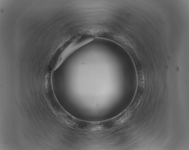 X0000078000456200611031449