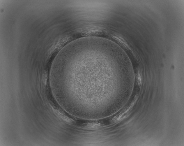 X0000078000458200611031449