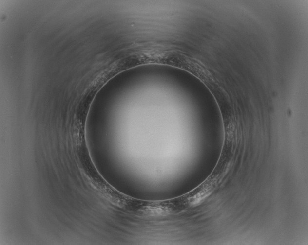 X0000078000464200611031450