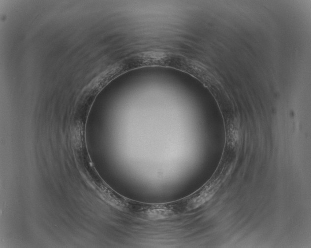 X0000078000468200611031450