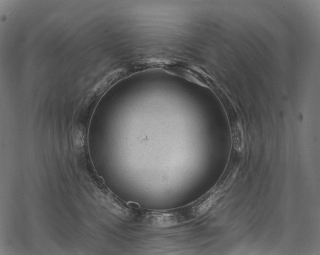 X0000078000472200611031450