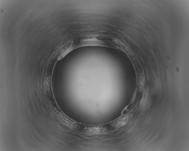 X0000078000473200611031450