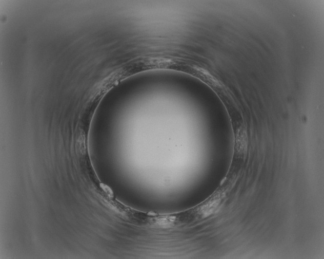 X0000078000474200611031450