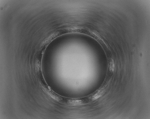 X0000078000476200611031450