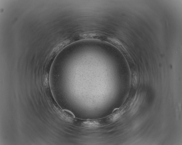 X0000078000477200611031450