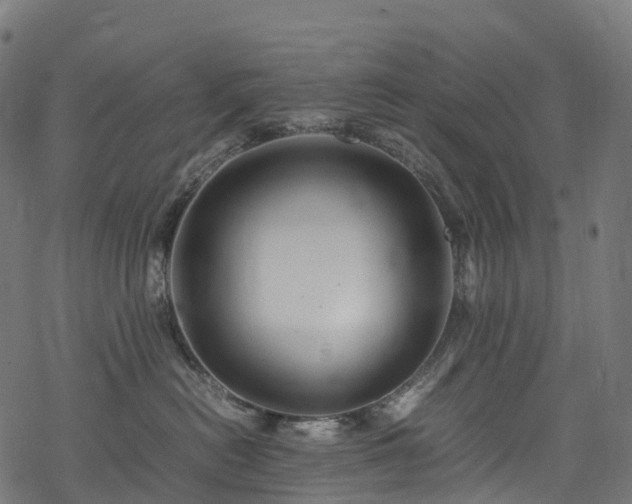 X0000078000478200611031450