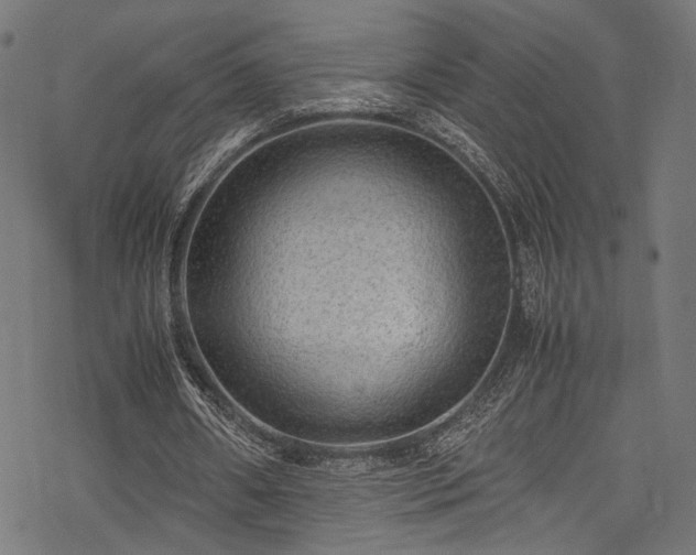 X0000078000482200611031449