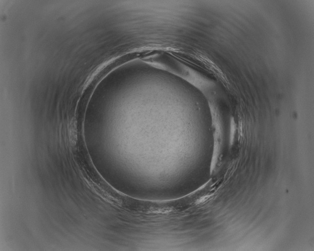 X0000078000484200611031449