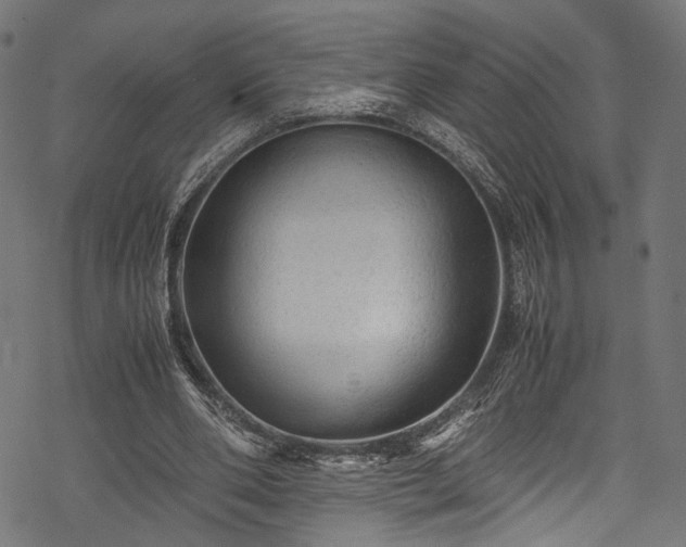X0000078000486200611031449
