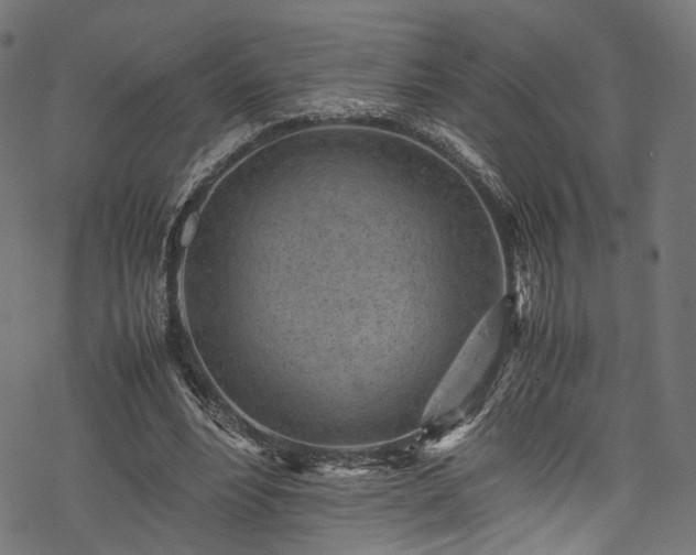 X0000078000488200611031449