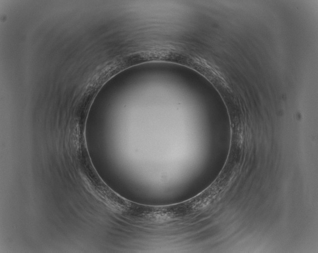 X0000078000498200611031449