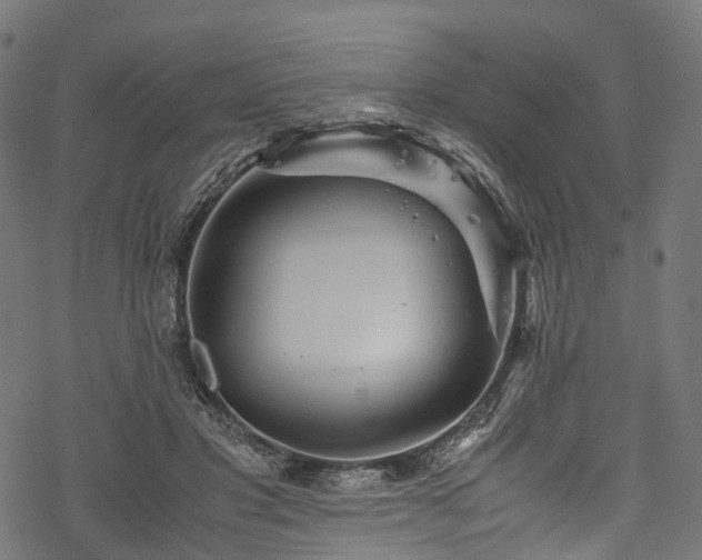 X0000078000501200611031449