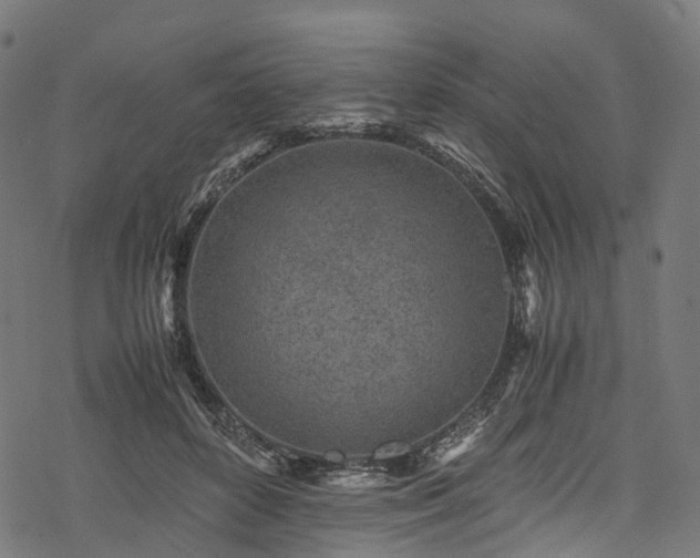 X0000078000504200611031449