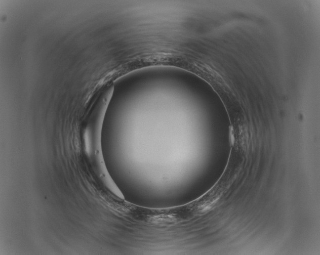 X0000078000508200611031449