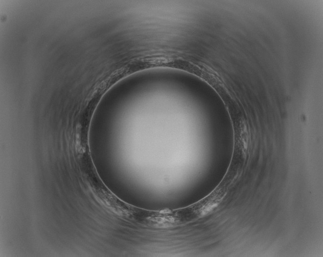 X0000078000512200611031448