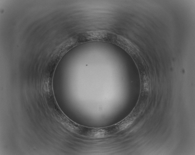X0000078000514200611031448