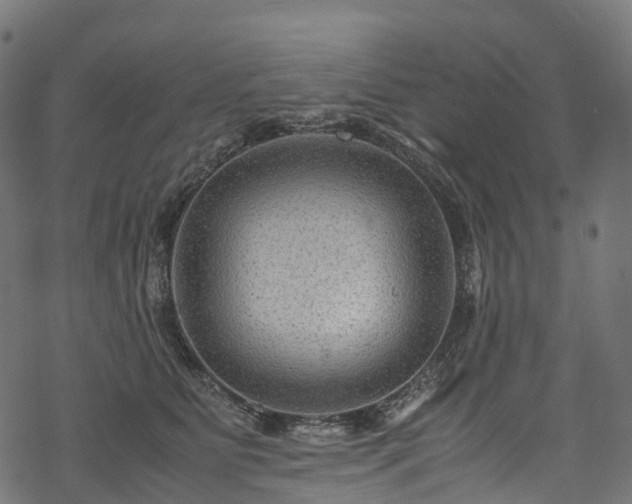 X0000078000515200611031448