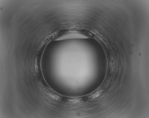 X0000078000516200611031448