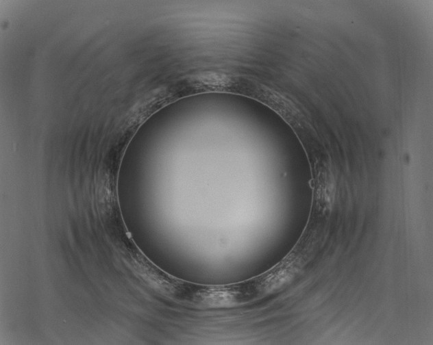 X0000078000518200611031448