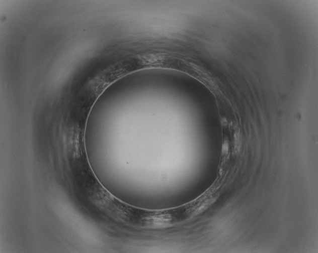 X0000078000525200611031448