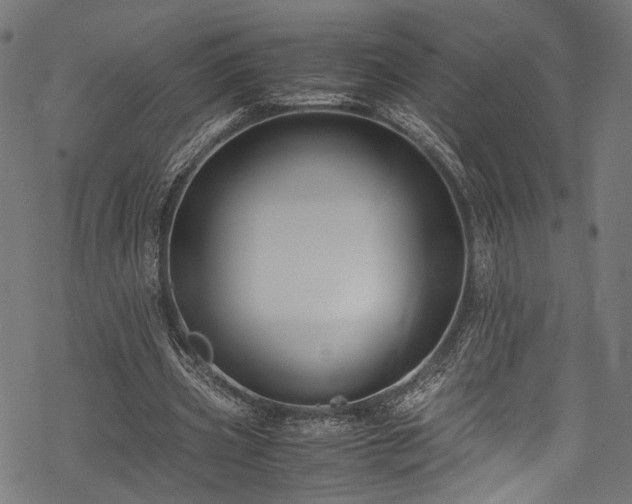 X0000078000533200611031448