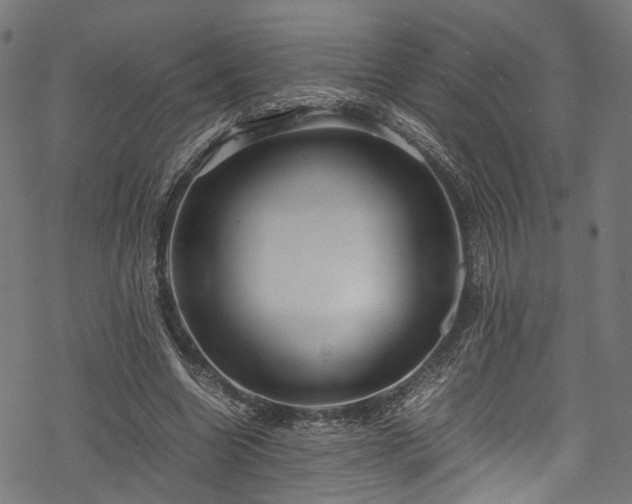 X0000078000538200611031448