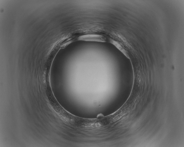 X0000078000543200611031448