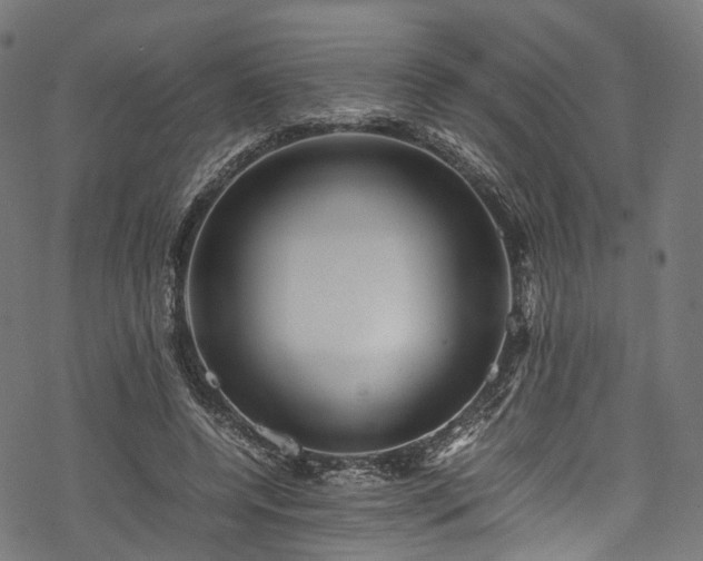 X0000078000544200611031448