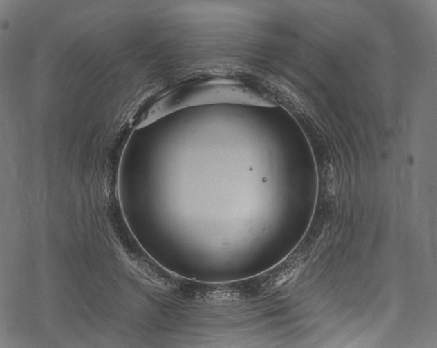 X0000078000546200611031448