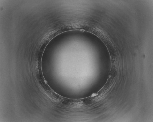 X0000078000548200611031448