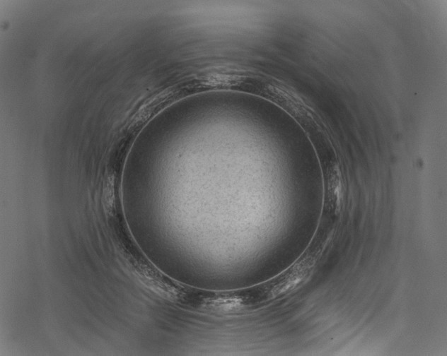 X0000078000554200611031448