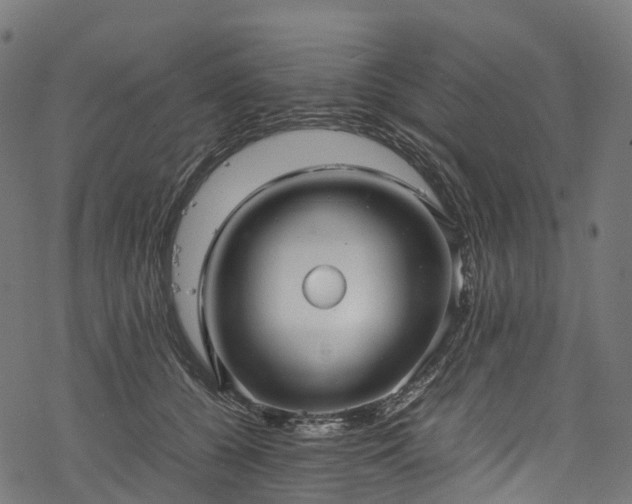 X0000078000560200611031448