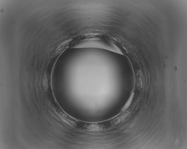 X0000078000562200611031448