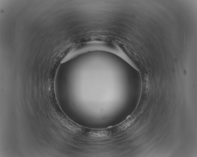 X0000078000567200611031448