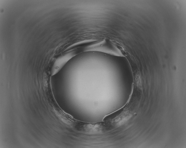 X0000078000570200611031448