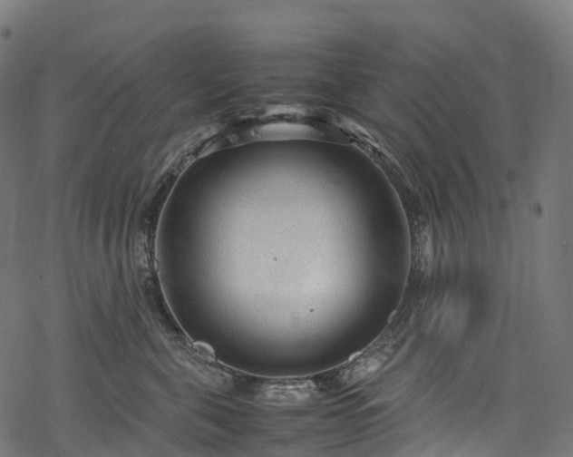 X0000078000571200611031448