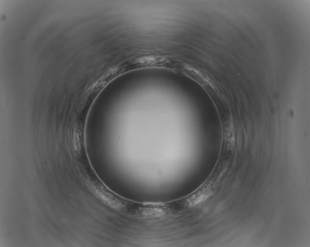 X0000078000572200611031448