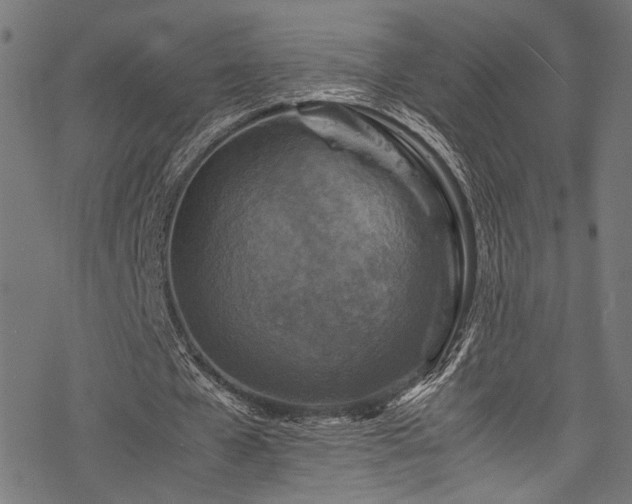 X0000078000577200611031447