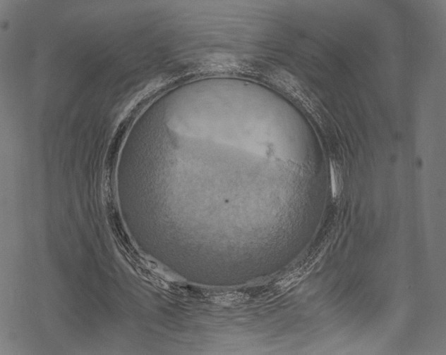 X0000078000579200611031447