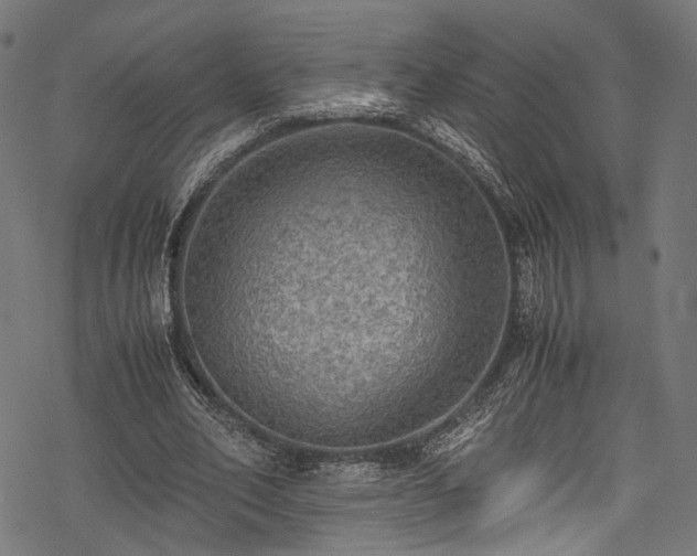 X0000078000582200611031447