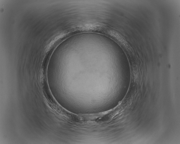X0000078000583200611031447