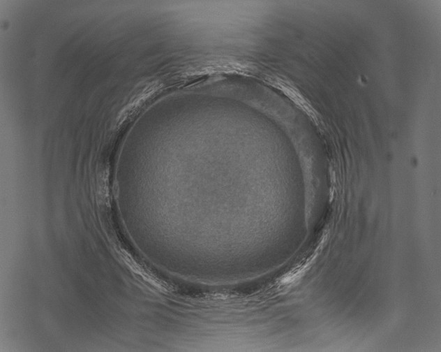 X0000078000585200611031447