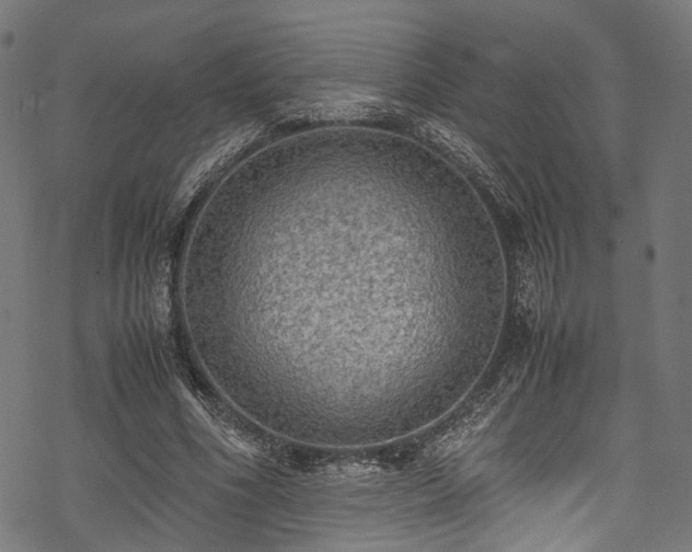 X0000078000586200611031447