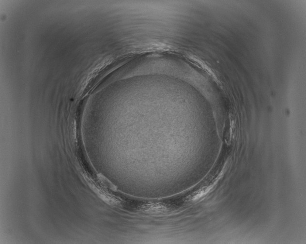 X0000078000589200611031447