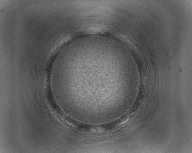 X0000078000591200611031447