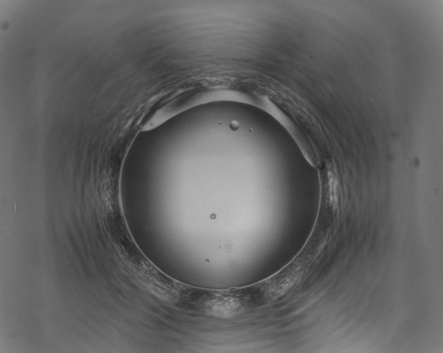 X0000078000604200611031447