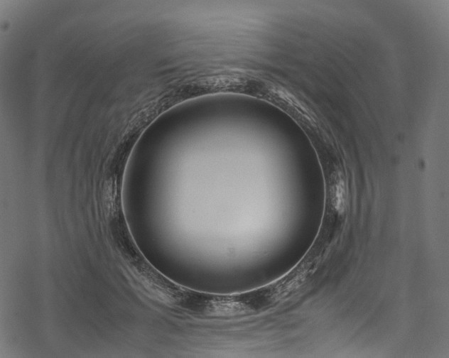 X0000078000605200611031447