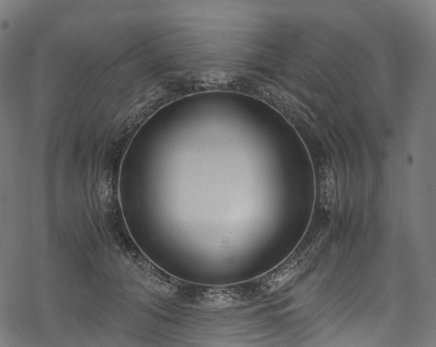 X0000078000608200611031447