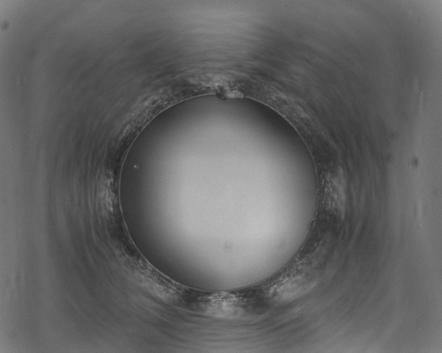 X0000078000612200611031447